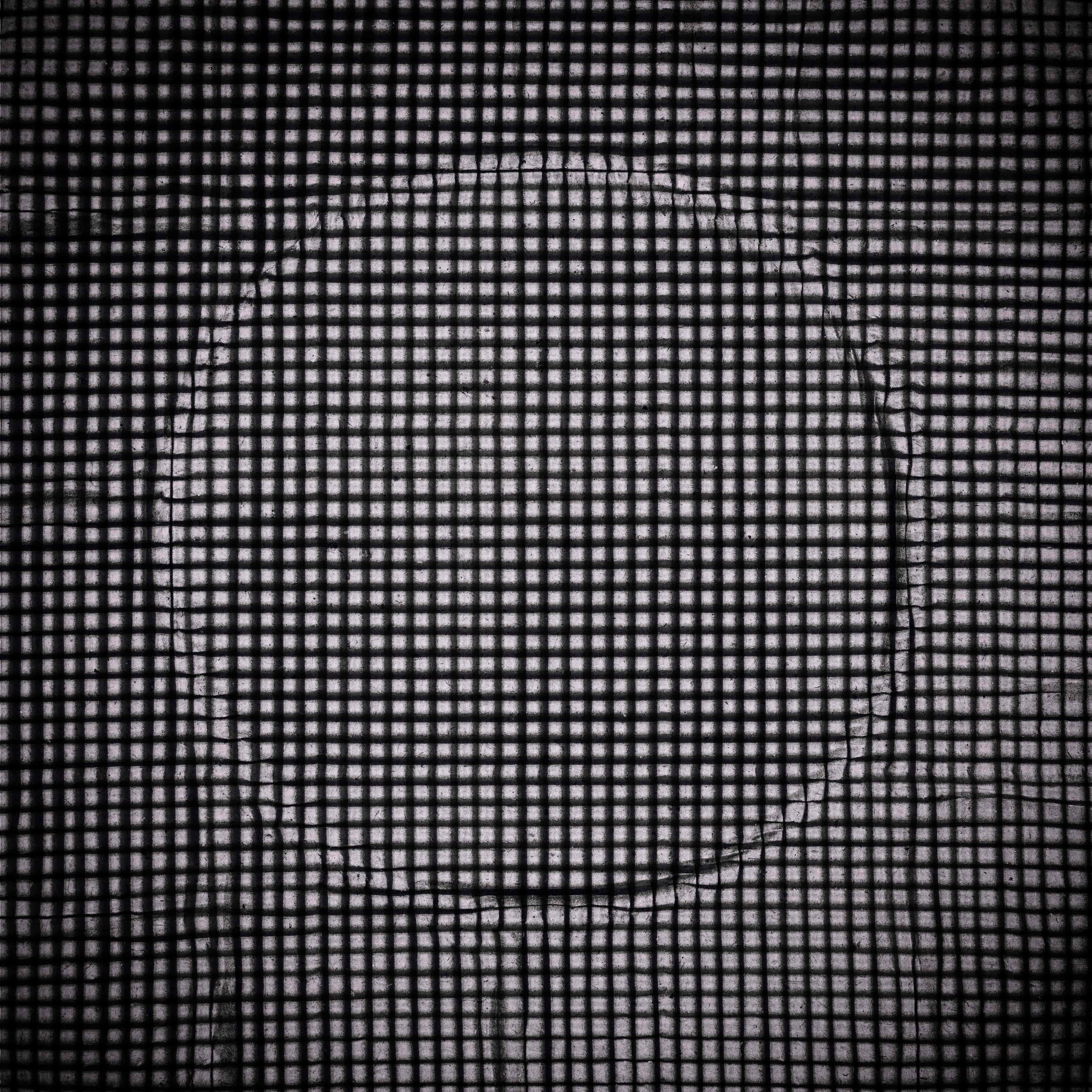 ALT general imagen 5 PLANTSEO